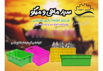 جعبه و باسکت ماهی