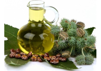 روغن های گیاهی دارویی - روغن کرچک اصل روغن های گیاهی دارویی - روغن کرچک اصل