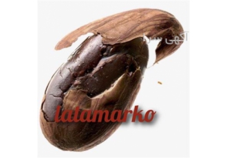 واردات کره کاکائو latamarko cocoa butter