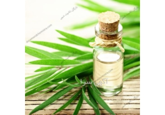 فروش ویژه روغن درخت چای اصل فروش ویژه روغن درخت چای اصل