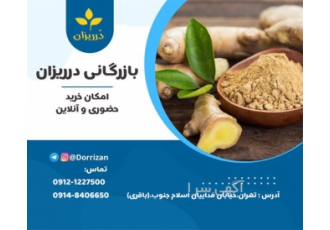 فروش زنجبیل قلم و پودر زنجبیل