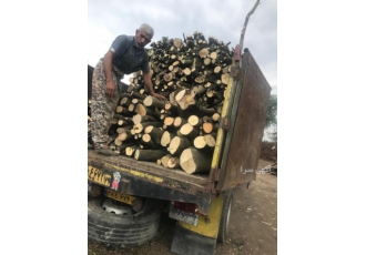 فروش چوب مرکبات شمال فروش چوب مرکبات شمال