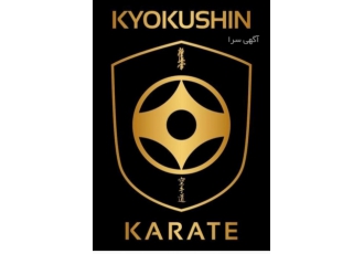 آموزش رشته رزمی کاراته سبک کیوکوشین آموزش ورزش های رزمی این پیش نمایش
