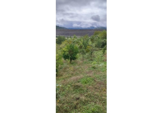 فروش زمین سند دار در مازندران سوادکوه فروش زمین سند دار در مازندران سوادکوه