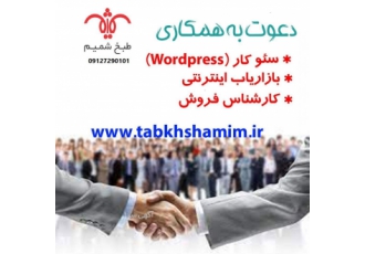 کارشناس سئو شرکت معتبر فعال در زمینه فروش اینترنتی و بازاریابی اینترنتی