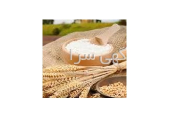 فیبر گندم روسی فیبر گندم روسی