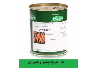 بذر هویج OPTIMO F1 ویلمورین فروش و ارسال