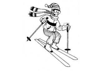 آموزش اسکی و اسنوبرد آموزش اسـکی آلپاین و اسنوبرد تضمینـی از مبتدی