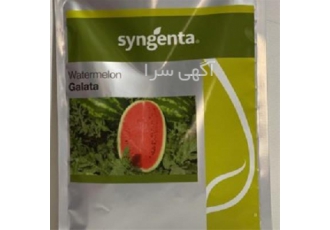 فروش بذر هندوانه کریمسون گالاتا فروش بذر هندوانه کریمسون گالاتا