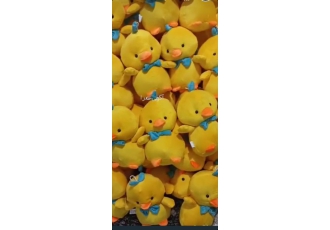 تولید عروسک تولید عروسک