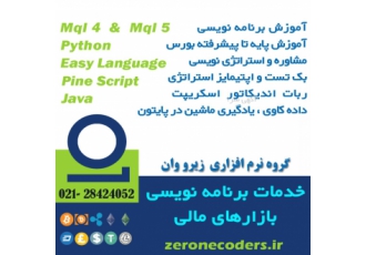 خدمات برنامه نویسی بازارهای مالی