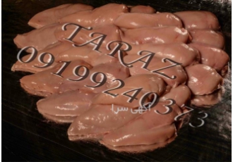 فروش عمده مرغ و شنسل سینه مرغ فروش عمده مرغ و شنسل سینه مرغ