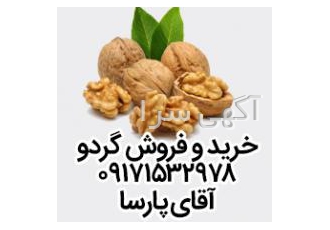 خرید و فروش گردو خرید و فروش گردو