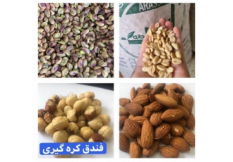 کنجد پاکستانی افغانی هندی ارس دانه کنجد سفید هندی بدون پوست و با پوست