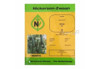 خرید و فروش ویژه بذر خیار گلخانه ای کیهان خرید و فروش ویژه بذر خیار گلخانه ای کیهان