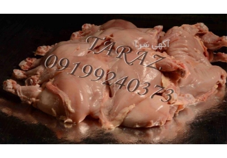 خرید و فروش سینه ی بوقلمون خرید و فروش سینه ی بوقلمون