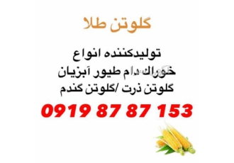 تولیدکننده نشاسته گندم