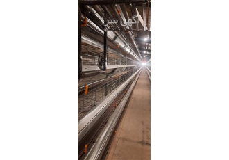 فروش قفس تمام اتوماتیک مرغ گوشتی و آبخوری نیپل فروش قفس تمام اتوماتیک مرغ گوشتی و آبخوری نیپل