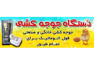 دستگاه جوجه کشی با ظرفیت بالا ، تولید و فروش.