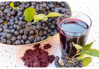 تولیدی شیره انگور، شیره انگور سنتی، شیره گالنی تولیدی شیره انگور، شیره انگور سنتی، شیره گالنی