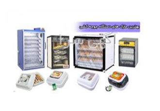 قیمت دستگاه جوجه کشی خانگی و صنعتی قیمت دستگاه جوجه کشی خانگی و صنعتی