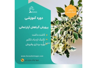 پرورش گل و گیاه در خانه برای فروش