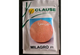 بذر ملون میلاگرو بذر ملون میلاگرو