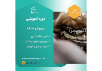 دوره آموزشی پرورش صدف خوراکی و مروارید ساز دوره آموزشی پرورش صدف خوراکی و مروارید ساز