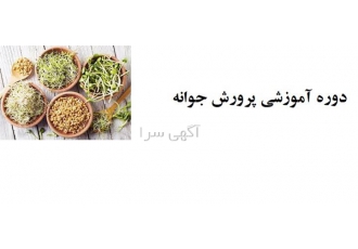 دوره آموزشی تولید فرآوری و بسته بندی جوانه