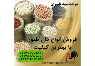 فروش انواع دان طیور و خوراک طیور طیور در تهران فروش انواع دان طیور