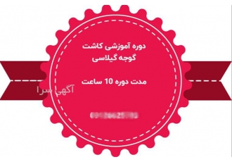 دوره تخصصی کشت گوجه فرنگی چری، از صفر تا صد دوره تخصصی کشت گوجه فرنگی چری، از صفر تا صد