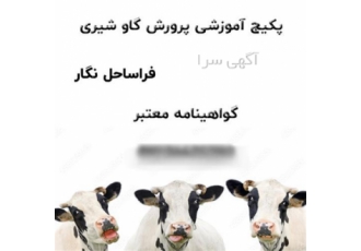 پکیج آموزشی پرورش گاو شیری با مدرک معتبر پکیج آموزشی پرورش گاو شیری با مدرک معتبر