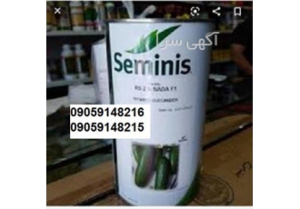 سفارش بذر خیار گلخانه ای سمینس - بذر محلی