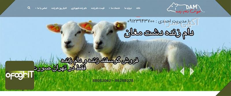 اگهی رایگان در صفحه اول گوگل