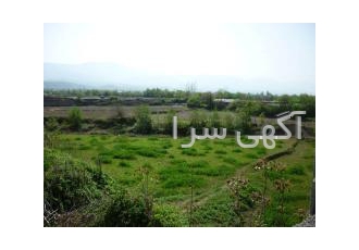 فروش زمین سنددار اقساطی در شمال فروش زمین سنددار اقساطی در شمال