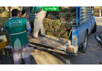 فروش چمن رولی فروش چمن رولی