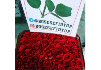 گل آرایی و گلفروشی آنلاین گل آرایی و گلفروشی آنلاین