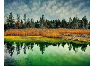 گردشگری و سفر و طبیعتگردی گردشگری و سفر و طبیعتگردی